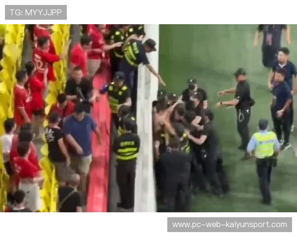 足协新规越界球迷必重罚,确保赛场秩序与安全