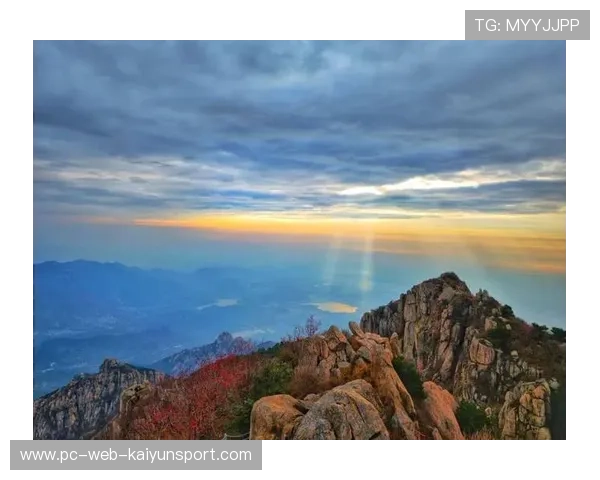 山东泰山连续组织让攻势呈指数级增长